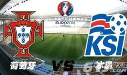 冰岛爆料最新视频播放下载,最新视频播放下载，揭秘神秘事件真相